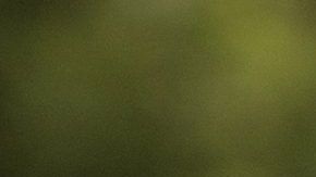 Almodóvar detrás de Banderas durante el rodaje de Dolor y Gloria.