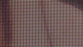 Ana Brenda Contreras.