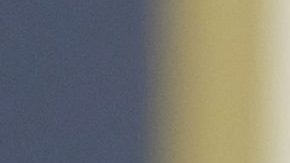 Alexandria Ocasio-Cortez.