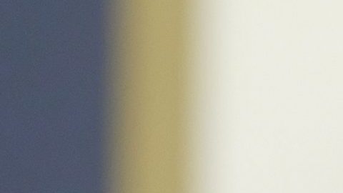 Alexandria Ocasio-Cortez.