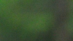 Rosalba Luna ha enfrentado todo tipo de situaciones en los juegos. (Javier Quiroz / La Raza)