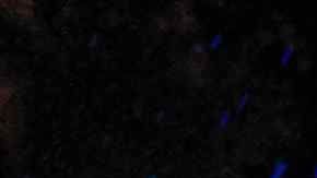 Un árbol caido en una carretera de Massachusetts.