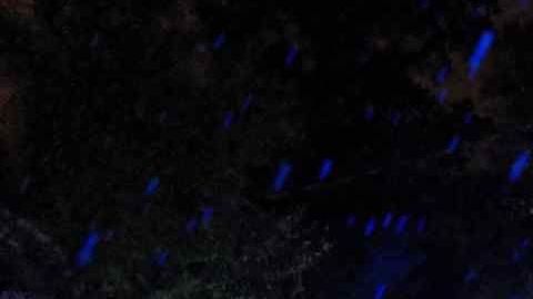 Un árbol caido en una carretera de Massachusetts.