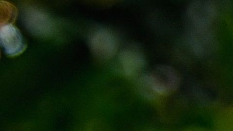 ashton-bingham-SAHBl2UpXco-unsplash