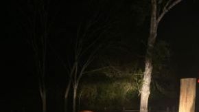 Greg Olsen fue atacado por segunda vez en menos de dos meses por su vaca Bellvia.