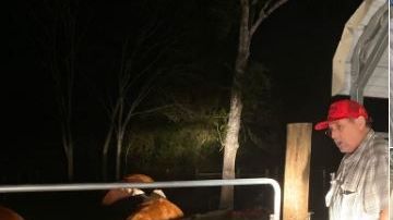 Greg Olsen fue atacado por segunda vez en menos de dos meses por su vaca Bellvia.