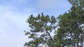 La Policía Estatal reportó que el grupo de sicarios tomó por la fuerza un autobús de pasajeros y lo incendió para bloquear la carretera.