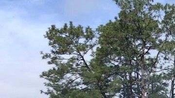 La Policía Estatal reportó que el grupo de sicarios tomó por la fuerza un autobús de pasajeros y lo incendió para bloquear la carretera.