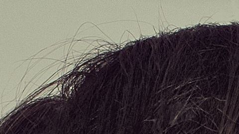 beso-shutterstock_170151305