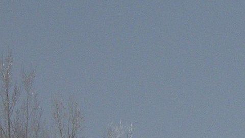 La nevada adelantada deja sin pasto a las reses que aún están en los campos.