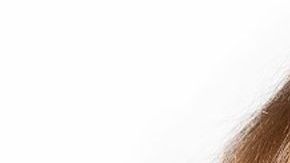 Blanca Soto de 'No te puedes esconder' y Sebastián Rulli de 'El Dragón'