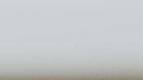 La lengua también tiene receptores olfativos.