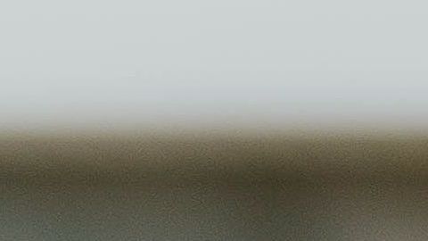 La lengua también tiene receptores olfativos.