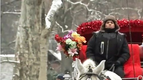 No se podrá cabalgar en temperaturas extremas