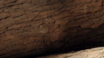 El vino caliente es una receta multifacética a la que se le pueden agregar diferentes ingredientes y especies locales.