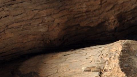 El vino caliente es una receta multifacética a la que se le pueden agregar diferentes ingredientes y especies locales.