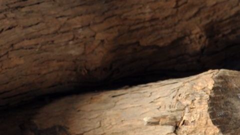 El vino caliente es una receta multifacética a la que se le pueden agregar diferentes ingredientes y especies locales.