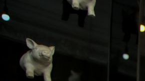 Esta tendencia trae como resultado tragos complejos, creativos y basados en ingredientes naturales; la evolución perfecta para una industria valorada y creciente.