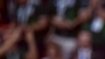 Javier 'Chicharito' Hernández.