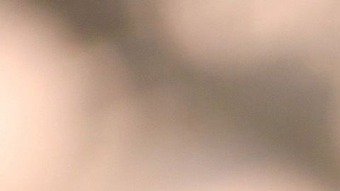 Saúl 'Canelo' Álvarez