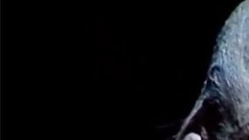 Imágenes de Perra de nadie.