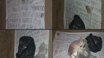 Cártel del Golfo deja hecha pedazos a una mujer conocida como 'La Güera'