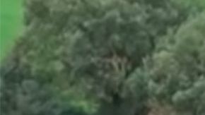 La casa donde los encontraron.