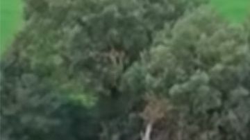 La casa donde los encontraron.