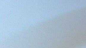 Estaba tan tomada que no pudo distinguir que estaba comiendo pollo.