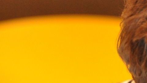 child-1183465_1280