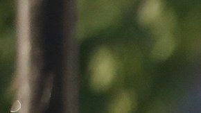 CH0. SANTIAGO (CHILE), 21/10/2019.- Policías controlan el funcionamiento de los buses fuera de la estación de metro La Cisterna que se encuentra cerrada este lunes en Santiago (Chile). La capital de Chile despertó "en calma", en la primera jornada laboral desde que se radicalizaran las protestas sociales, con sólo una línea de metro abierta y servicios de autobuses subsidiarios para tratar de que los ciudadanos acudan a sus trabajos con normalidad. EFE/Elvis González