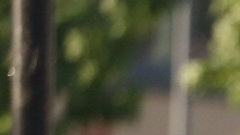 CH0. SANTIAGO (CHILE), 21/10/2019.- Policías controlan el funcionamiento de los buses fuera de la estación de metro La Cisterna que se encuentra cerrada este lunes en Santiago (Chile). La capital de Chile despertó "en calma", en la primera jornada laboral desde que se radicalizaran las protestas sociales, con sólo una línea de metro abierta y servicios de autobuses subsidiarios para tratar de que los ciudadanos acudan a sus trabajos con normalidad. EFE/Elvis González