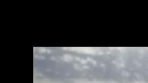 El perro desapareció en el agua.