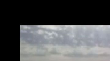 El perro desapareció en el agua.