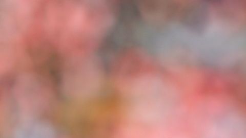 El León se aferra a José Juan Macías.