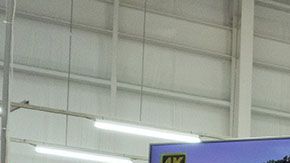 Es tiempo de romper tu alcancía para aprovechar los descuentazos que Costco ofrecerá en noviembre.