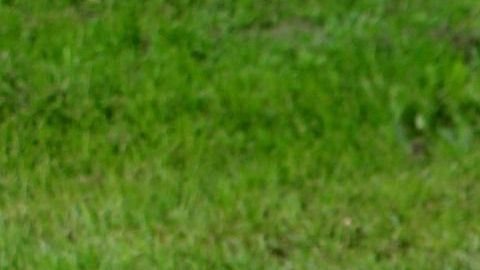 Exhumarán el cadáver para dar con la identidad del 'hombre de Somerton'.