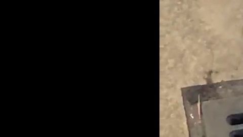 El video de la "cucharacha fumadora" se volvió viral.