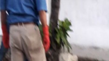 Del paraíso de Acapulco poco queda, es un infierno con jovencitos muertos y vehículos quemados