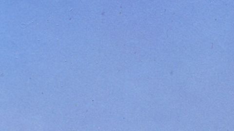 Dolores Gonzáles impuso la moda en los 50.