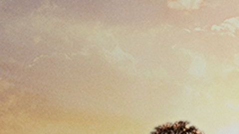 "El Señor de los Cielos" en su séptima temporada