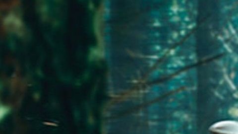 Rafael Amaya fue Aurelio Casillas en "El Señor de los Cielos"