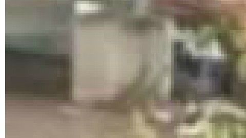 La emboscada se reportó este lunes en  el municipio de Aguililla, Michoacán.