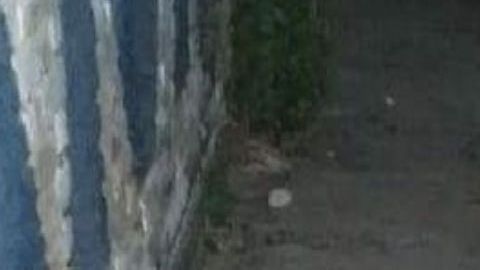 En el infierno del puerto turístico de Acapulco sicarios matan a mujer