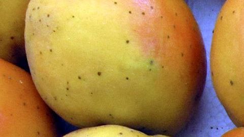 Los nísperos son una fruta con alto contenido en fibra, fomentan la buena digestión y combaten el estreñimiento.