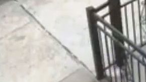 El falso repartidos al llegar