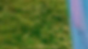 La fiesta de revelación de sexo terminó en tragedia.