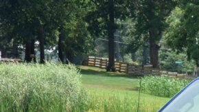 Las ventas de este año excluyen a todo sedán