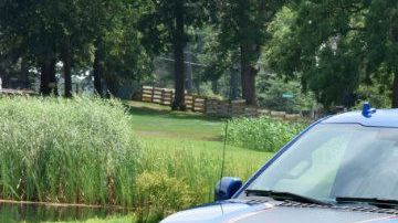 Las ventas de este año excluyen a todo sedán