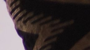 La fiesta de revelación de sexo fue un fiasco.